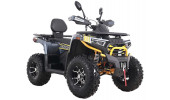 ATV SHARX 250