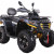 ATV SHARX 300