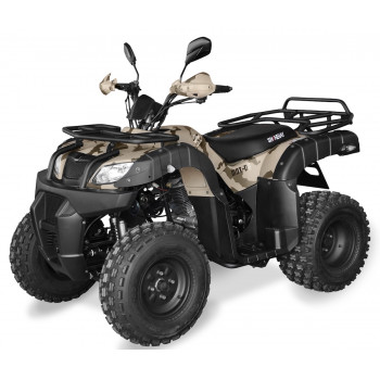 Квадроцикл Shineray ROVER 250 