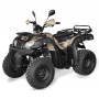Квадроцикл Shineray ROVER 250 