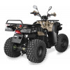 Квадроцикл Shineray ROVER 250