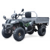 Вантажний квадроцикл HUMMER CARGO 200