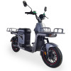 FADA FLiT III, 1200W