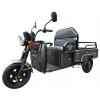 Электротрицикл грузовой FADA МУРАХА, 1100W