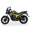Дорожній мотоцикл Lifan KP200 (Irokez 200)