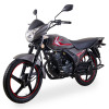 Дорожній мотоцикл Lifan BTR 200