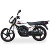 Дорожній мотоцикл Lifan BTR 200