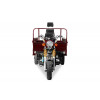Трицикл (вантажний мотоцикл,мурашка) Musstang MT250ZH-4V