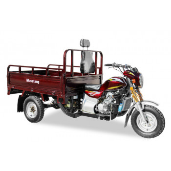 Трицикл (вантажний мотоцикл,мурашка) Musstang MT250ZH-4V