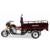 Трицикл (вантажний мотоцикл,мурашка) Musstang MT250ZH-4V