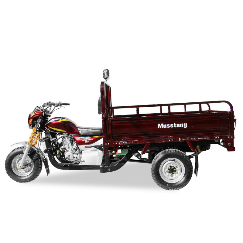 Трицикл (вантажний мотоцикл,мурашка) Musstang MT250ZH-4V