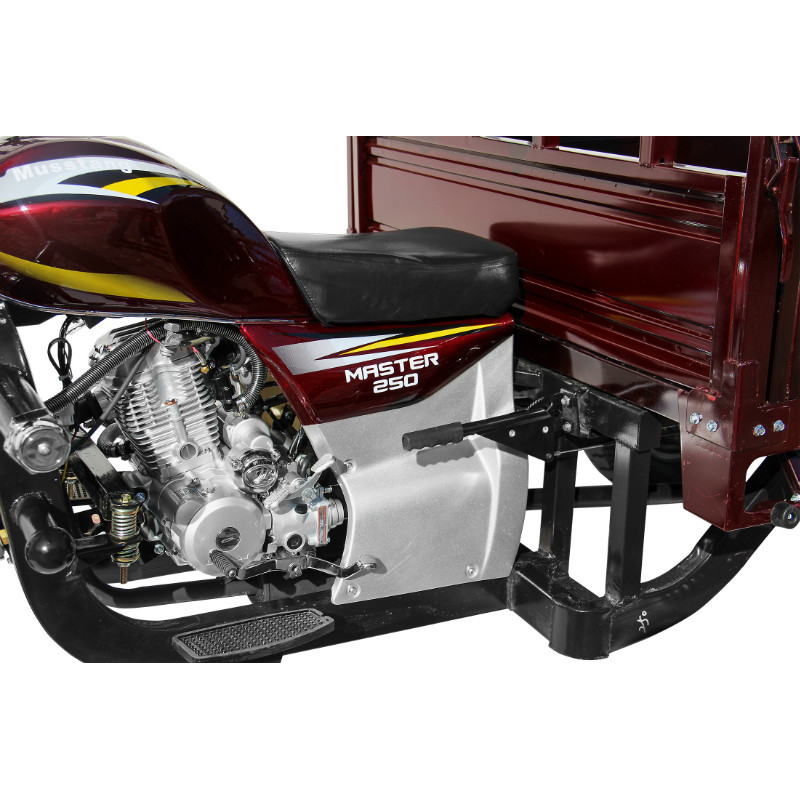 Трицикл (вантажний мотоцикл,мурашка) Musstang MT250ZH-4V