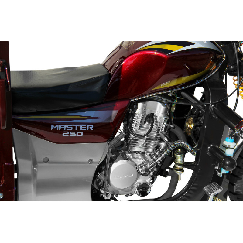 Трицикл (вантажний мотоцикл,мурашка) Musstang MT250ZH-4V