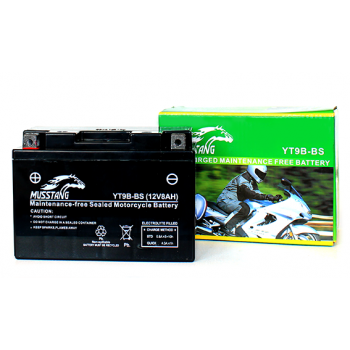 Аккумулятор гелевый YT9B-BS 12V 8Ah